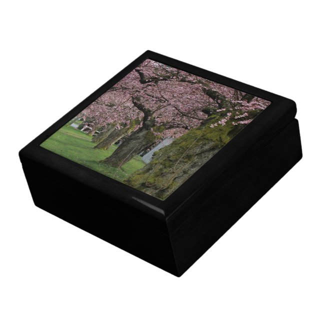 Spring cherry  blossoming trees treasure box. gift box (Side)