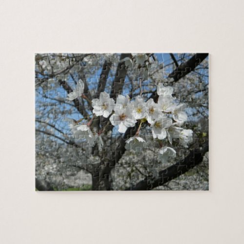 Spring Cherry Blossoms Jigsaw Puzzle