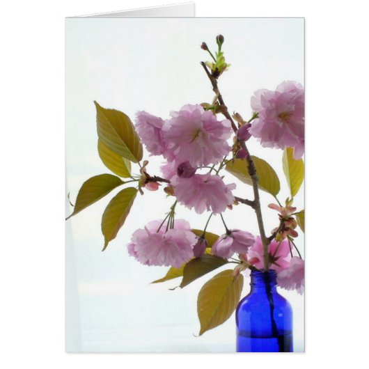 spring cherry cards (Front)