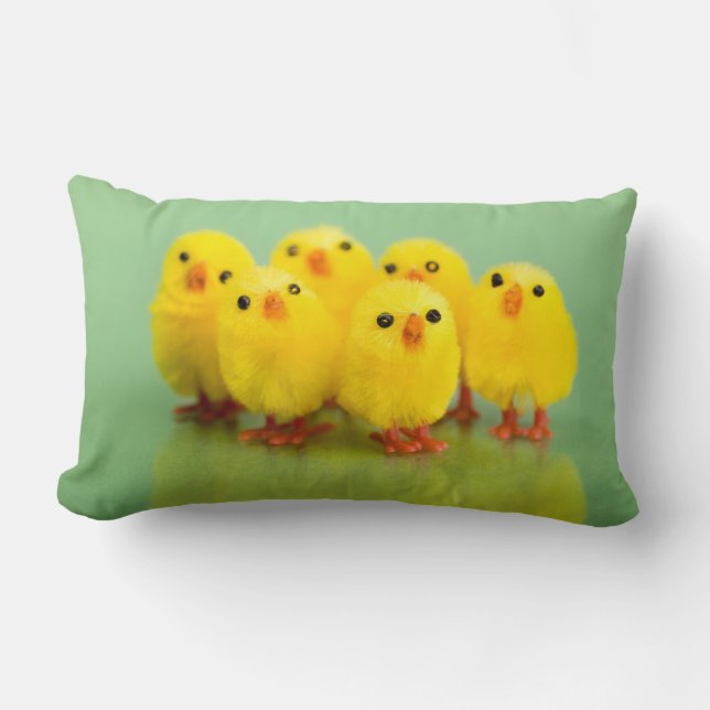 Spring chicken lumbar pillow (Front)