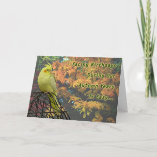 Spring Chickens Card
