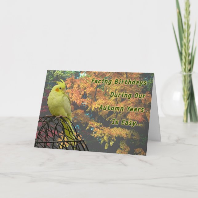 Spring Chickens Card (Front)