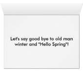 Spring Chihuahua's (Inside Horizontal (Bottom))