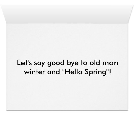 Spring Chihuahua's (Inside Horizontal (Bottom))