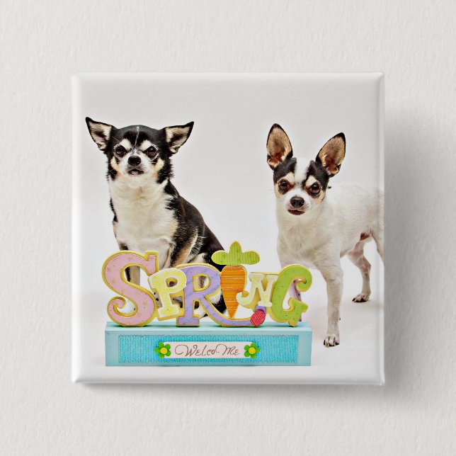 Spring Chihuahua's Button (Front)
