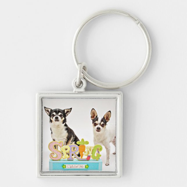 Spring Chihuahua's Keychain (Front)