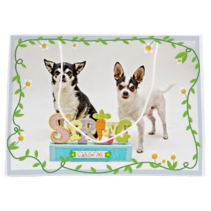 Spring Chihuahua's Large Gift Bag