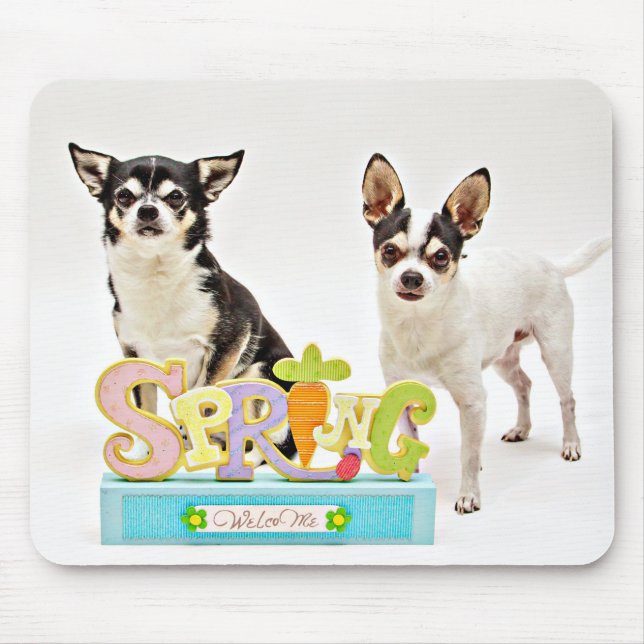 Spring Chihuahua's Mouse Pad (Front)