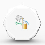 Spring Cleaning Award<br><div class="desc">Use this mop and pail for your tidying project.</div>
