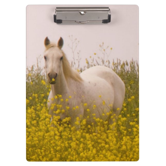 Spring Clipboard (Front)