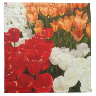 Spring Cloth Napkins Red Orange White Tulips