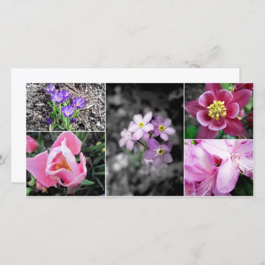 Spring Collage Photocard (Front/Back)
