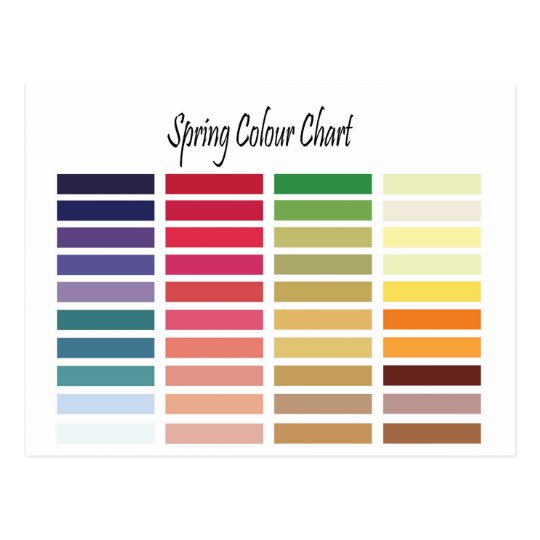 Spring Color Chart Postcard