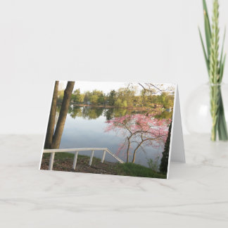 Spring color on Pine Lake #2 Card