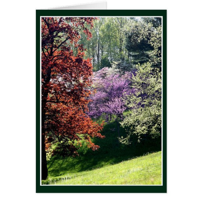 Spring Colors Cards (Front)