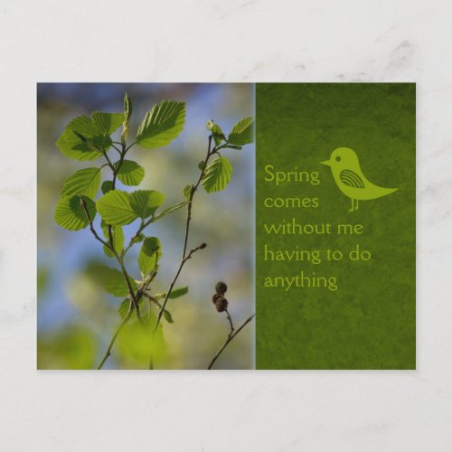 Spring comes anyway CC0836 Relaxing words Postcard