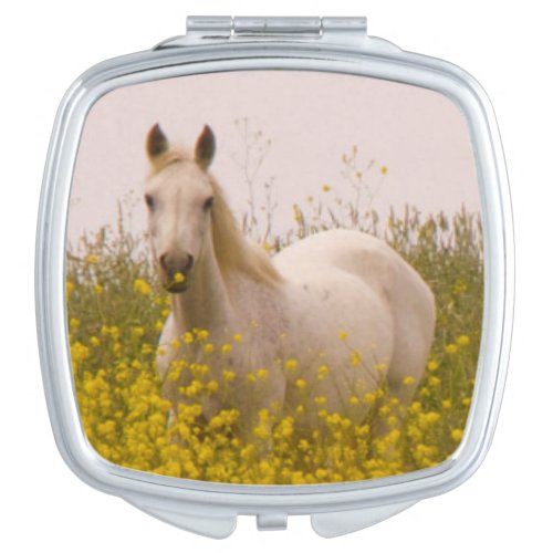 Spring Compact Mirror