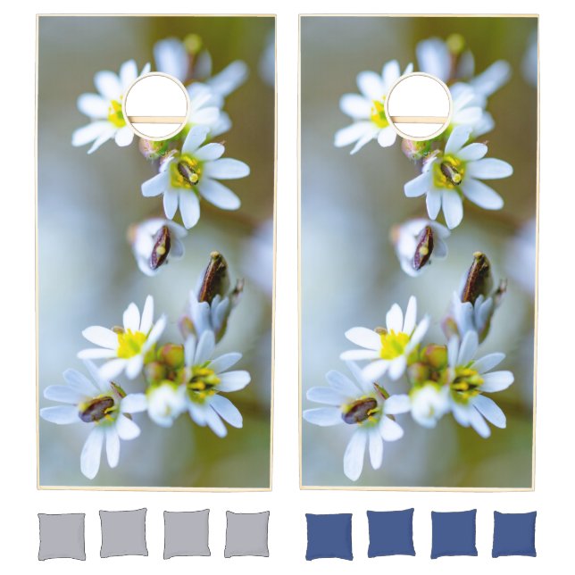 Spring Cornhole Set (Set)