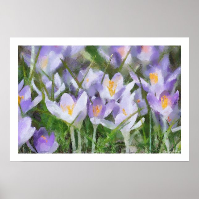 Spring Crocus Artwork Poster (Front)