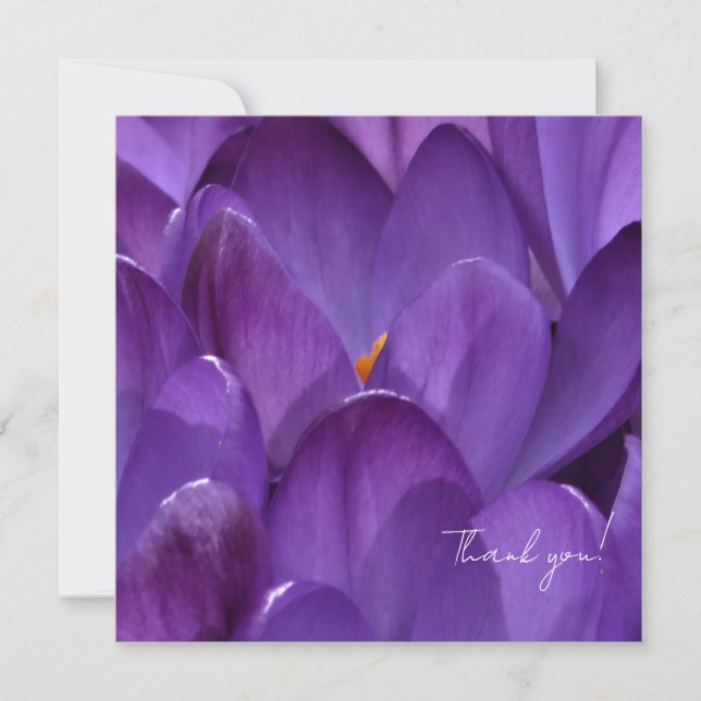 Spring Crocus Flower Photography Thank You Card (Front)