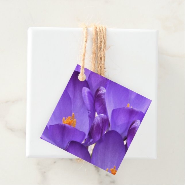 Spring Crocus Flowers Favor Tags (In Situ)