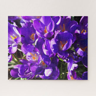 SPRING CROCUS JIGSAW PUZZLE