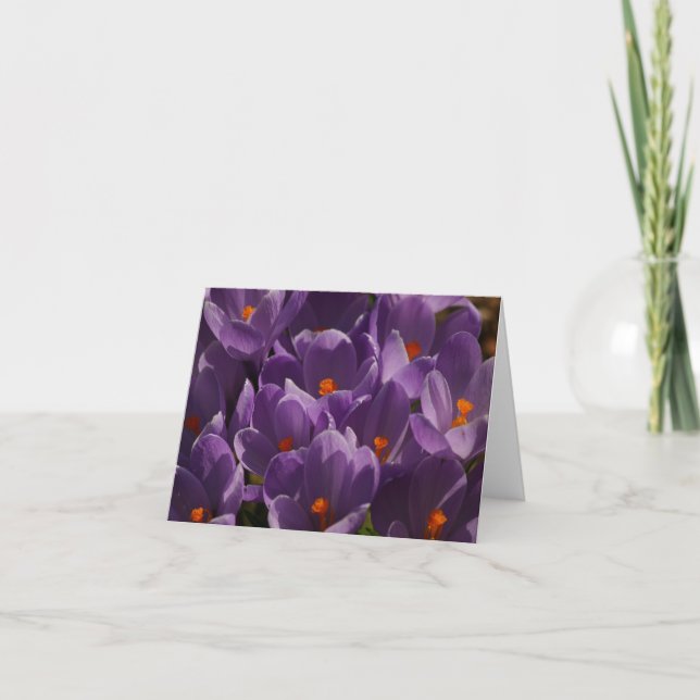 Spring Crocus  Letterpress Thank You Card (Front)