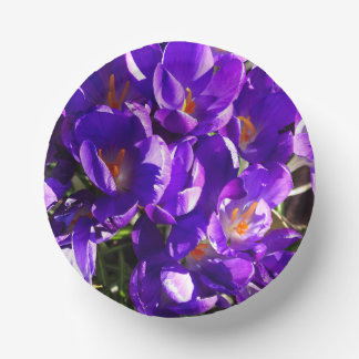 SPRING CROCUS PAPER BOWLS