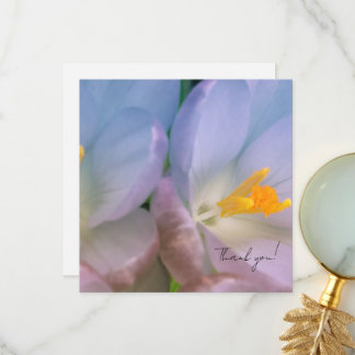 Spring Crocus Photography Thank You Card