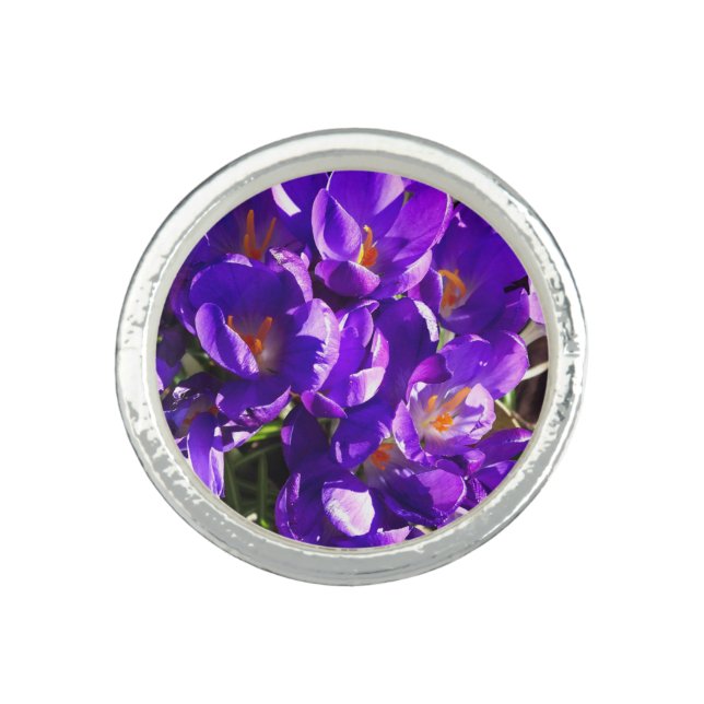 SPRING CROCUS RING (Front)