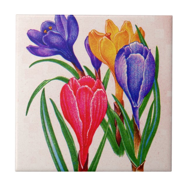 spring crocus tile (Front)
