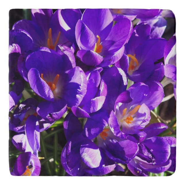 SPRING CROCUS TRIVET (Front)