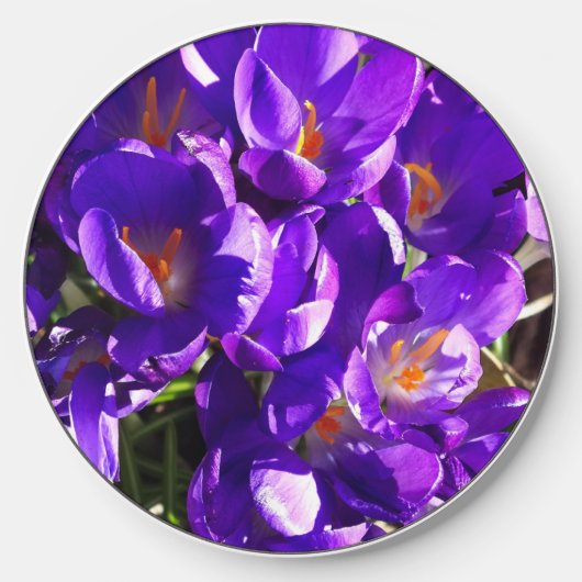 SPRING CROCUS WIRELESS CHARGER (Front)