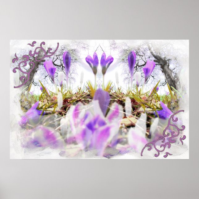 Spring Crocuses Poster (Front)