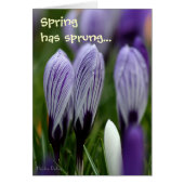 Spring Crocuses with verse notelet / card (Front)