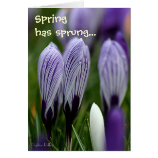 Spring Crocuses with verse notelet / card
