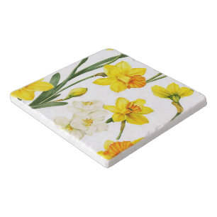 Spring Daffodil Botanical White Surface Protector Trivet
