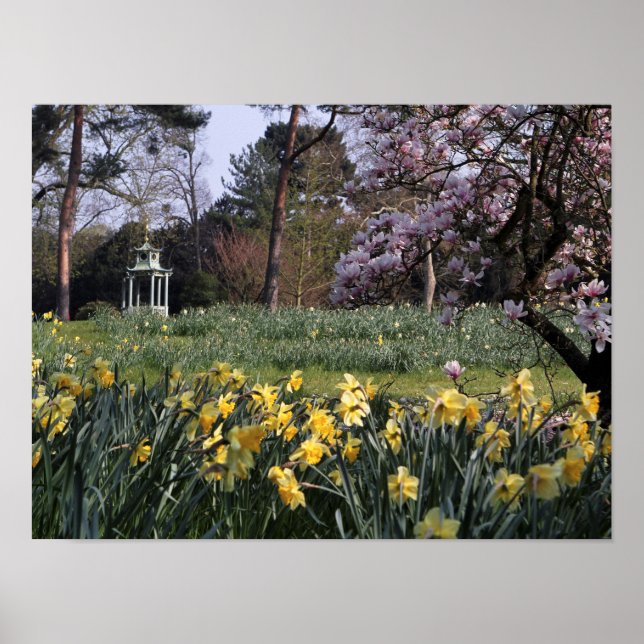 SPRING DAFFODIL GARDEN POSTER (Front)