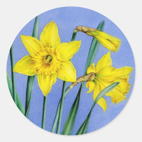 Spring daffodil yellow art painted flower sticker