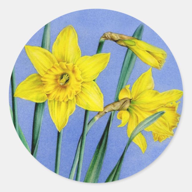 Spring daffodil yellow art painted flower sticker (Front)