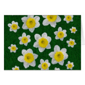 Spring Daffodils (Front Horizontal)