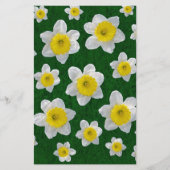 Spring Daffodils (Front)