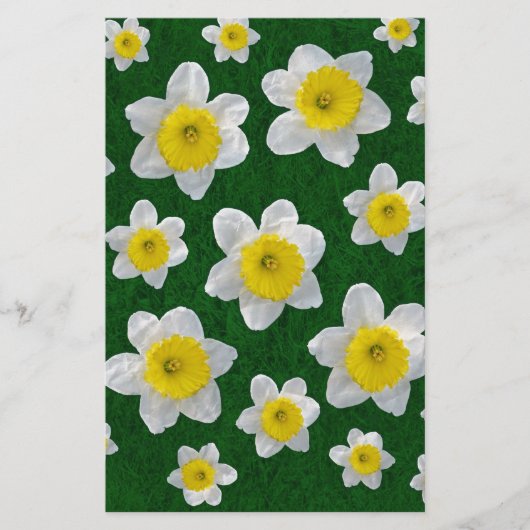 Spring Daffodils (Front)