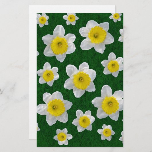 Spring Daffodils (Front/Back)