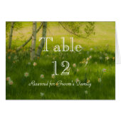 Spring Daffodils (Front Horizontal)