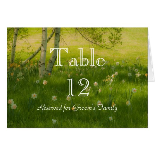 Spring Daffodils (Front Horizontal)