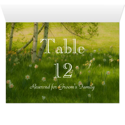 Spring Daffodils (Inside Horizontal (Bottom))