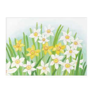 Spring Daffodils  Acrylic Print