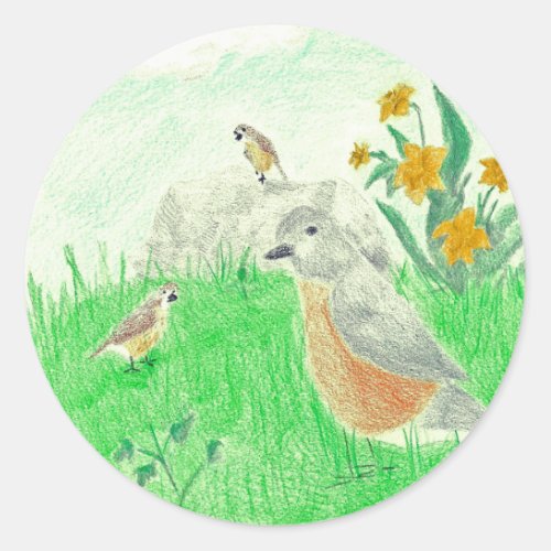 Spring Daffodils Baby Birds American Robins Classic Round Sticker