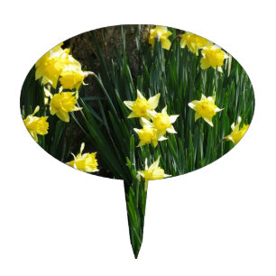 Spring Daffodils Cake Topper